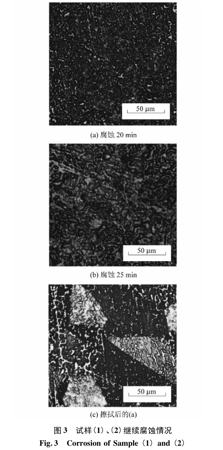 試樣(1)、(2)繼續腐蝕情況