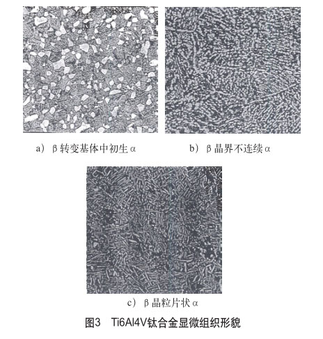 Ti6Al4V鈦合金顯微組織形貌 Ti6Al4V鈦合金顯微組織形貌