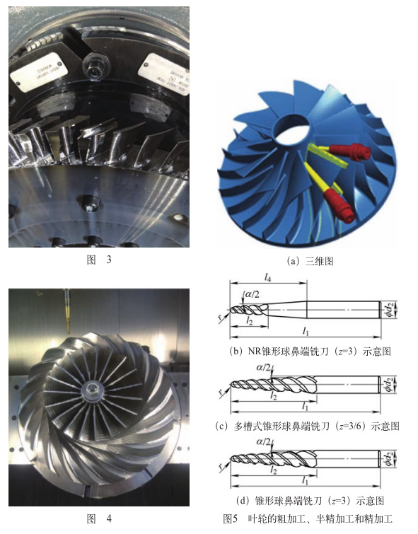 1647147096957290.jpg 345.jpg