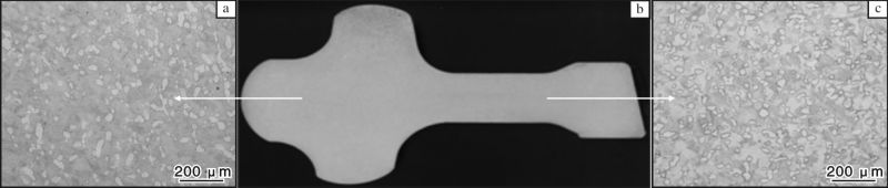 1679453646829404.jpg t5.jpg