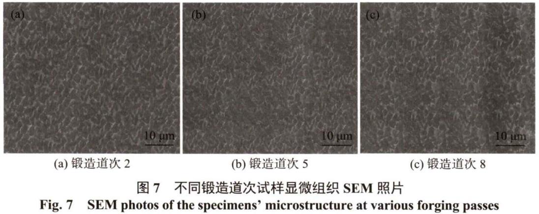 1686300765222953.jpg t7.jpg