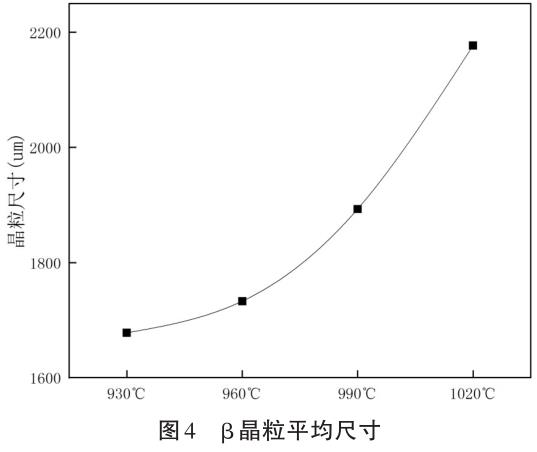 1686842630104786.jpg t4.jpg