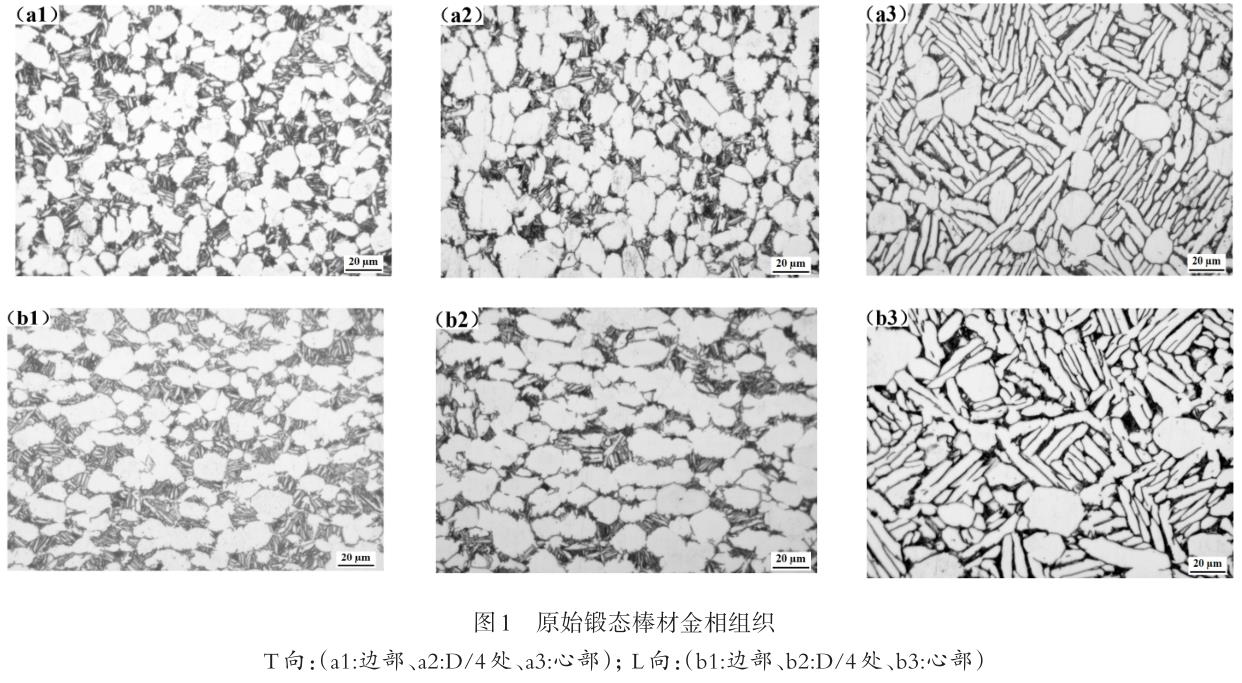 1694488603399715.jpg t1.jpg