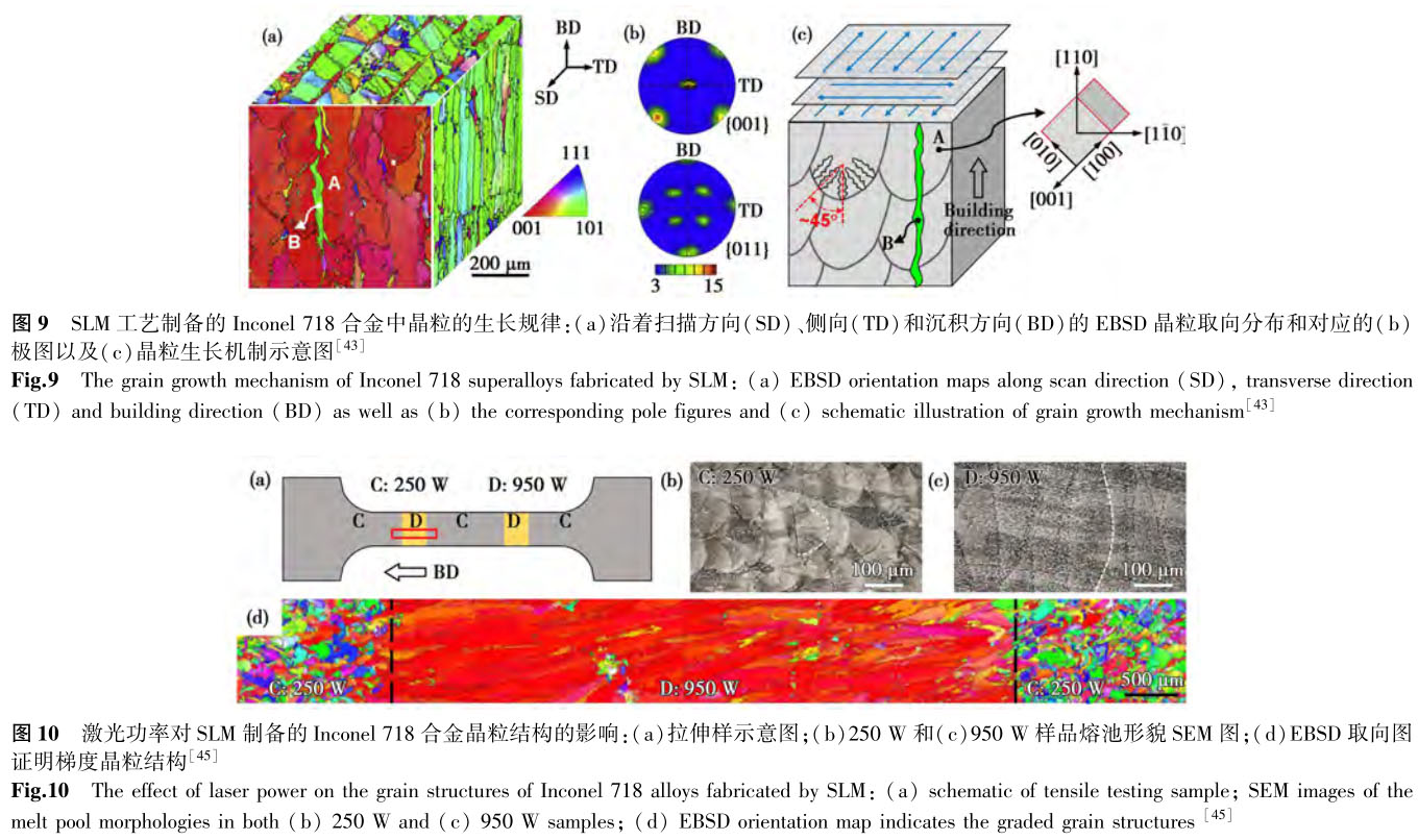 1699451511490643.jpg t9-10.jpg