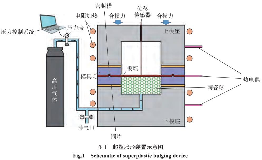 1700706307359582.jpg t1.jpg