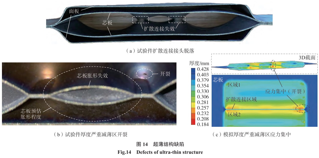 1702020275381201.jpg t14.jpg