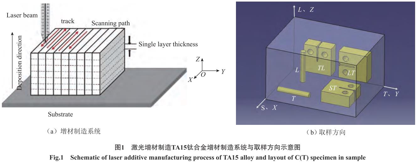 1705706523881667.jpg t1.jpg