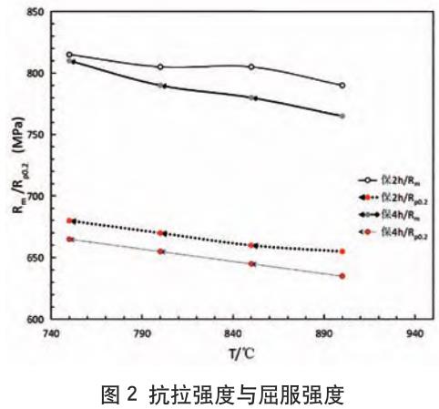 1705794010932730.jpg t2.jpg