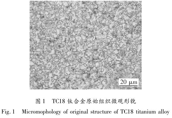 1708416404628514.jpg t1.jpg