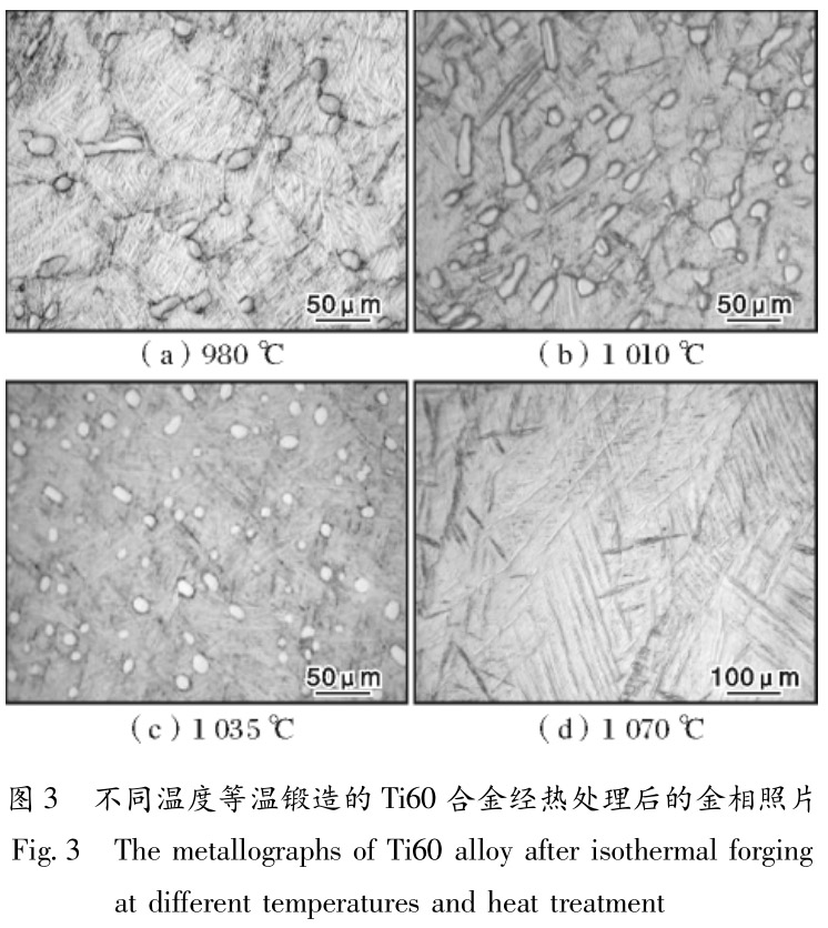 1713497099868302.jpg t3.jpg