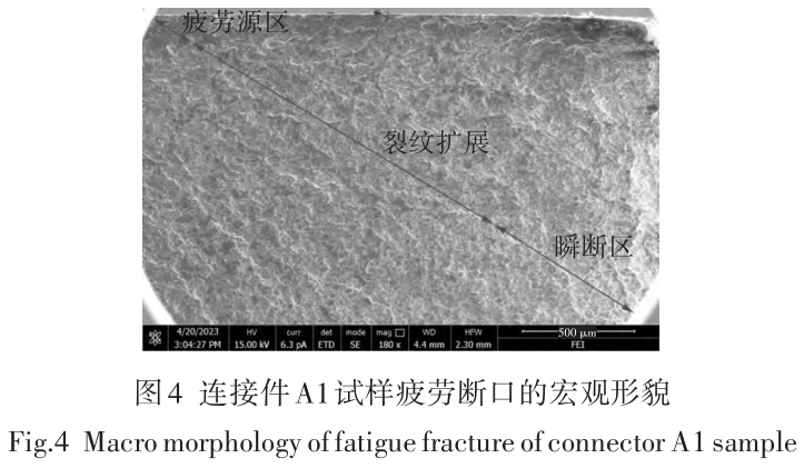 1713950906503628.jpg t4.jpg