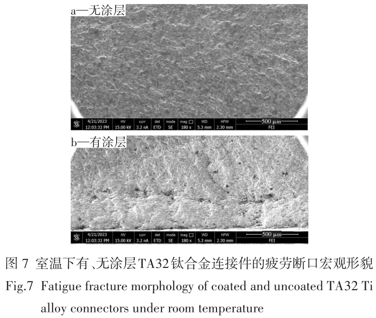 1713950931597673.jpg t7.jpg