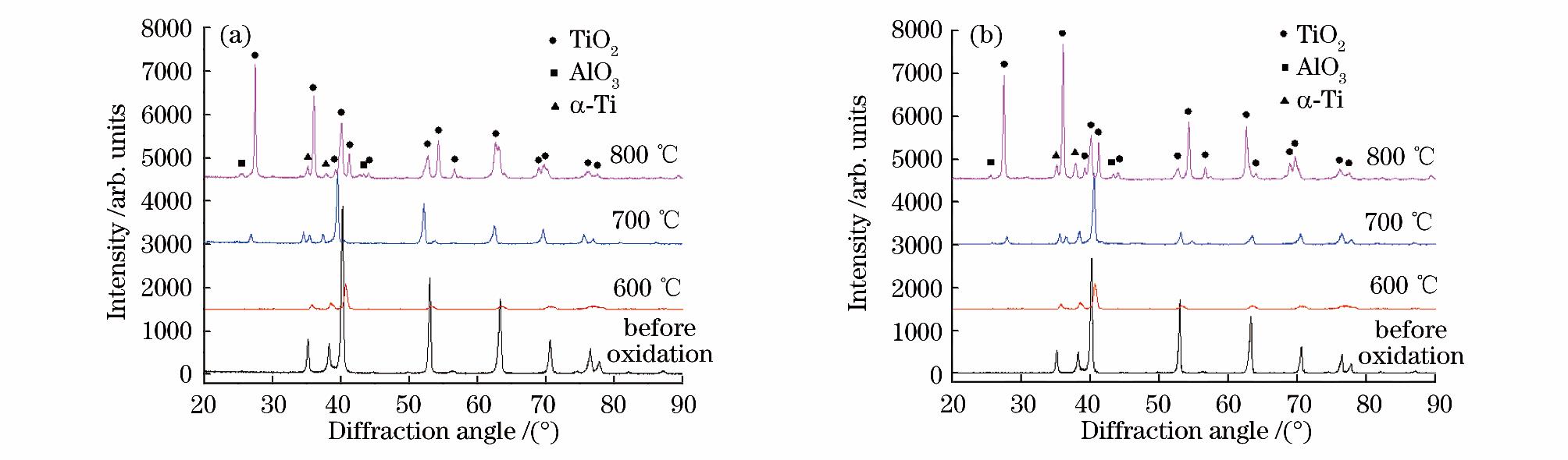 1720148353721000.jpg 5.jpg