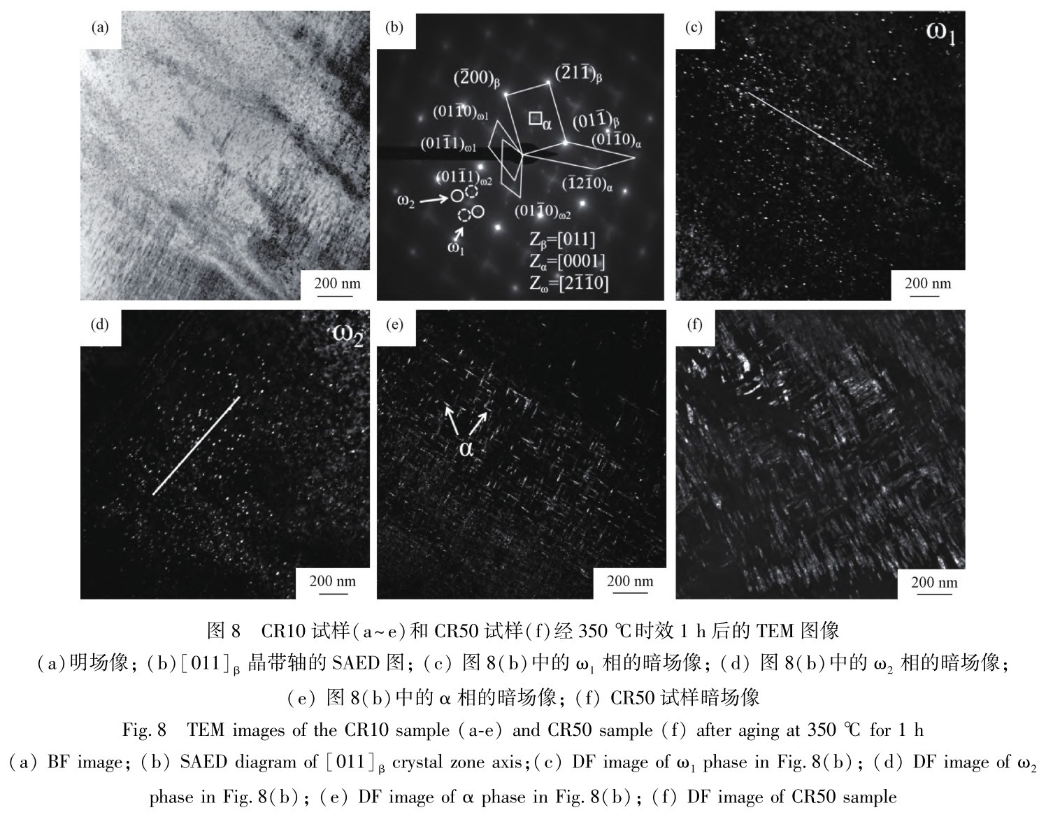 1728126529726682.jpg t8.jpg