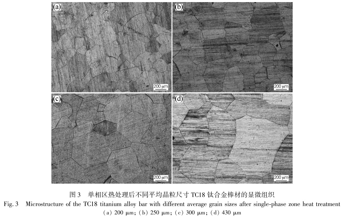 1728640164259276.jpg 3.jpg