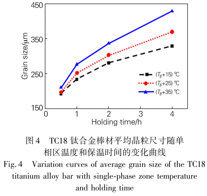 1728640174643094.jpg 4.jpg