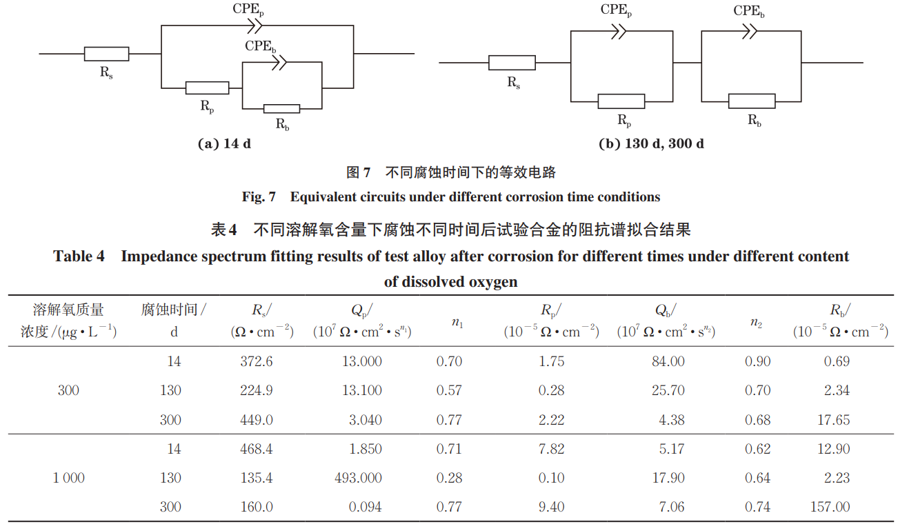 1733039502160662.png 7-b4.png