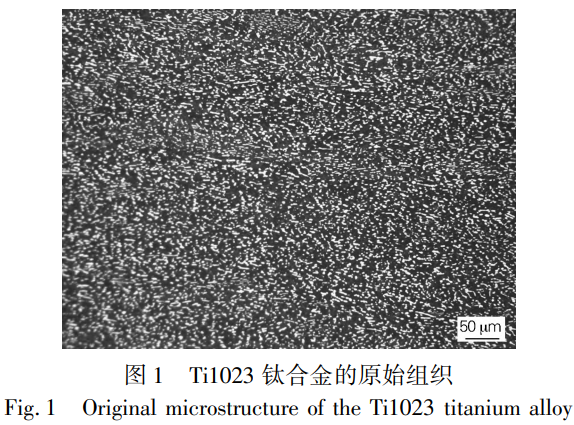 1737428990155600.png 截圖20250121110718.png