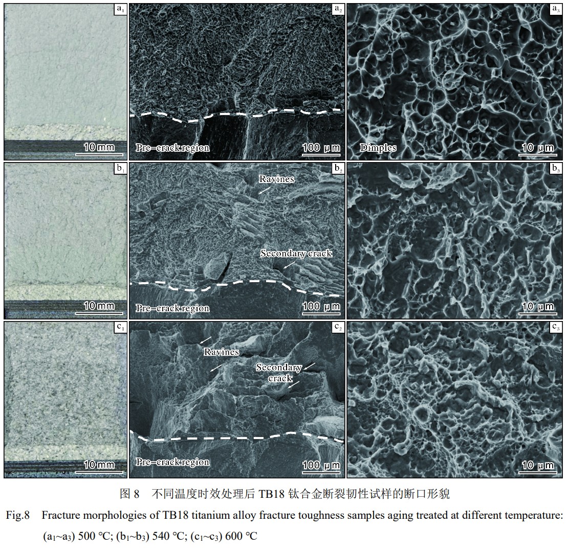 1743305422595354.jpg 未標(biāo)題-2.jpg