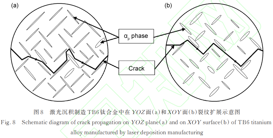 1743388950828446.png 截圖20250331103925.png