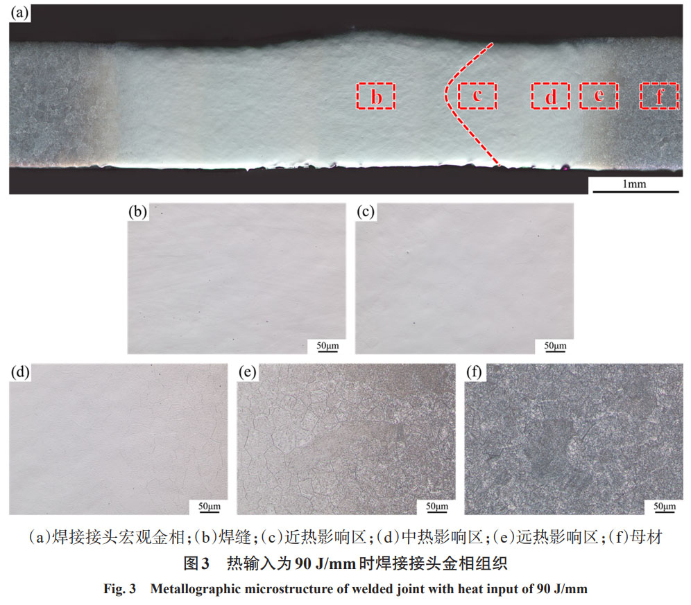 1752908687522503.jpg 未標題-1.jpg