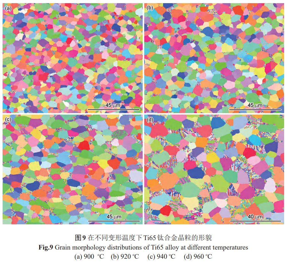 1761011486995748.jpg t9.jpg