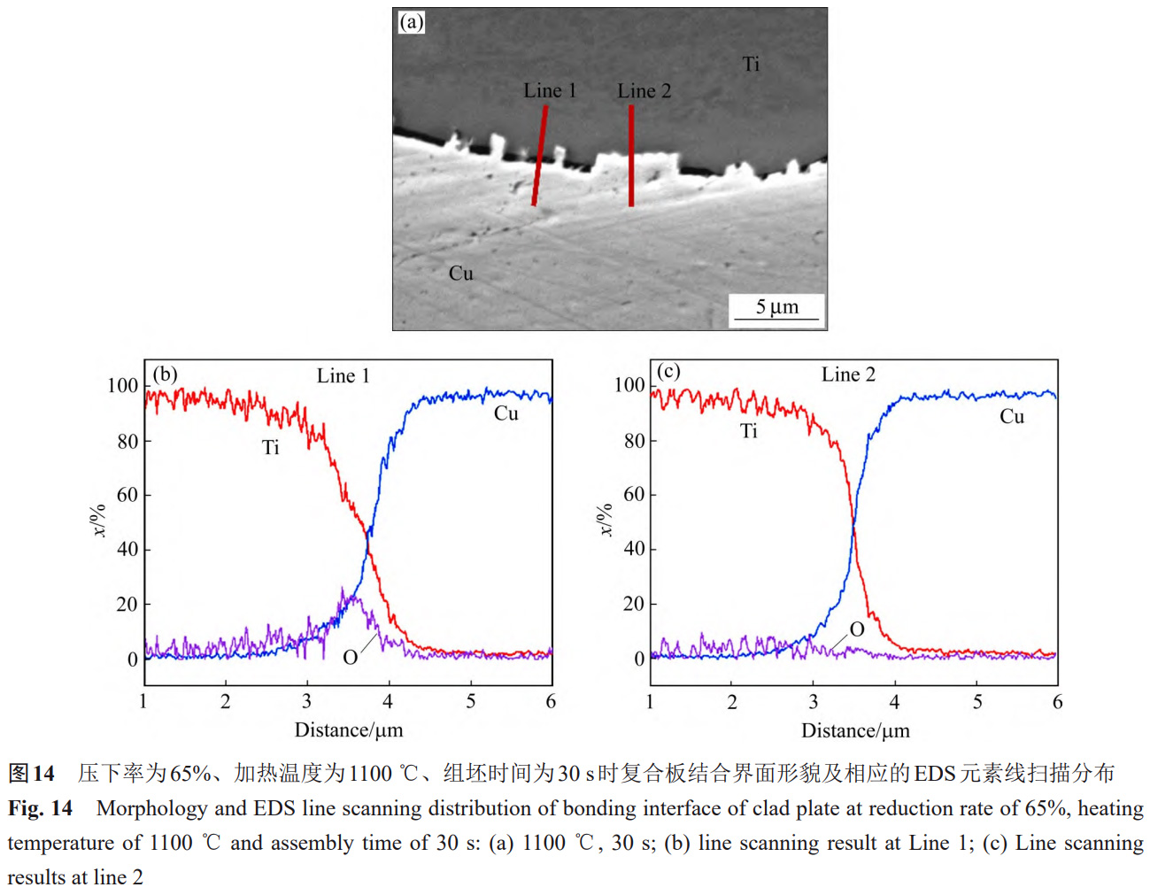 1766137564481335.jpg 14.jpg