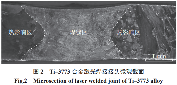 1772009355949546.png 2.png